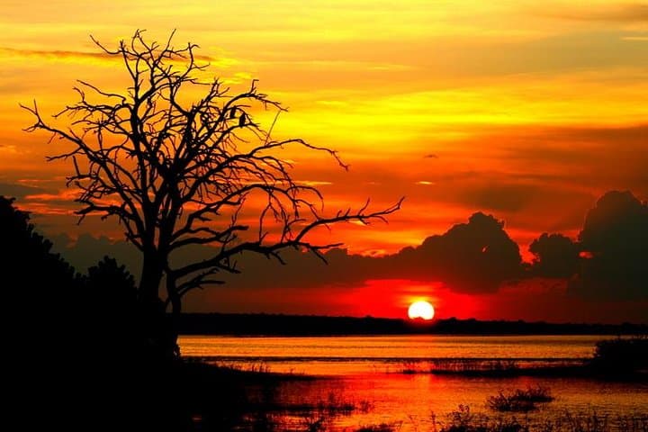 Sunset Cruise on the Chobe River: Elephant Herds, Golden Light & Kasane Pickup photo 6