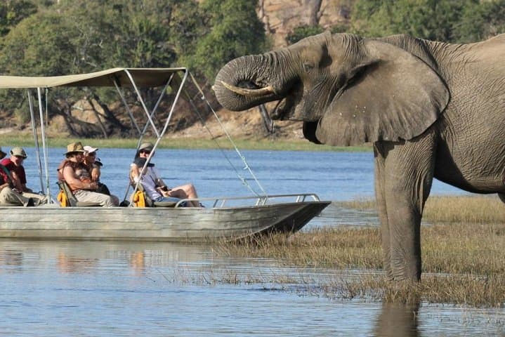 Chobe River Fishing Trip: Target Tigerfish on Botswana’s Wild River photo 2
