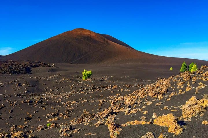 Mount Teide & Teno Country Park Private Tour: Volcano Views, Pine Forests and Teno Massif photo 4