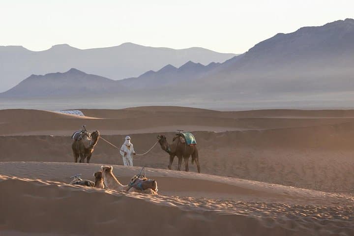 Two-Day Zagora Desert Tour from Marrakech: Camel Trek, Draa Valley & Starry Camp photo 2