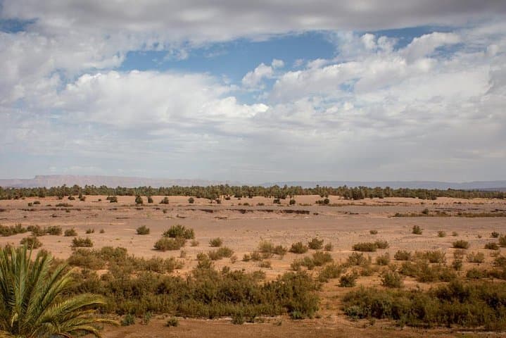 Two-Day Zagora Desert Tour from Marrakech: Camel Trek, Draa Valley & Starry Camp photo 4