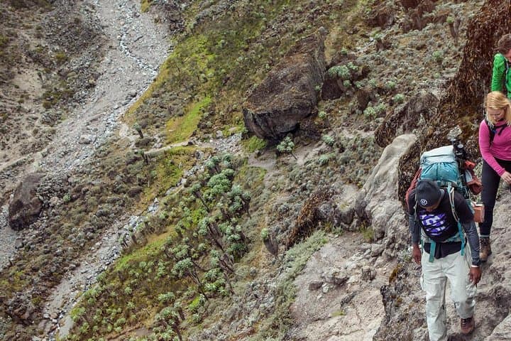 6-Day Machame Route Trek to Mount Kilimanjaro — Summit Uhuru Peak photo 3