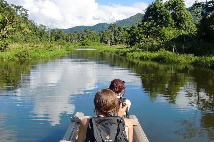 4-Day Manu National Park: Amazon Rainforest Exploration from Cusco photo 6