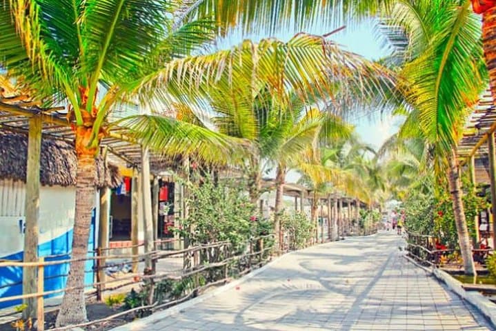 Monterrico Black Sand Beach & Mangrove Boat Tour with Artisanal Fishing and Lunch photo 3