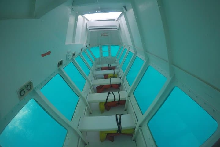 Roatán Glass-Bottom Boat Tour and West Bay Beach — Explore the Mesoamerican Reef photo 3