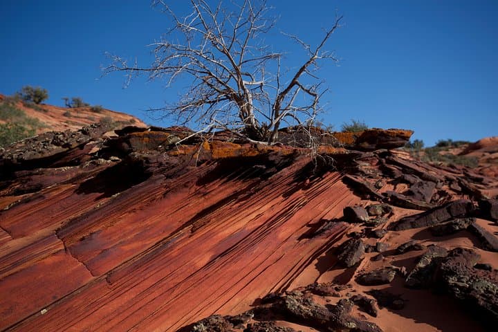 Exploring Wire Pass Slot Canyon: A Photographic Hiking Adventure Near Kanab photo 3