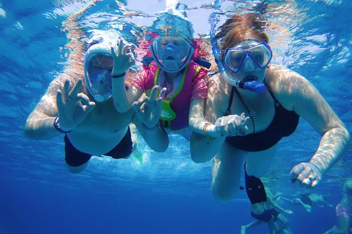Full-Day Dolphin House Snorkeling Trip From Marsa Alam — Coral Reefs & Dolphin Encounters photo 4