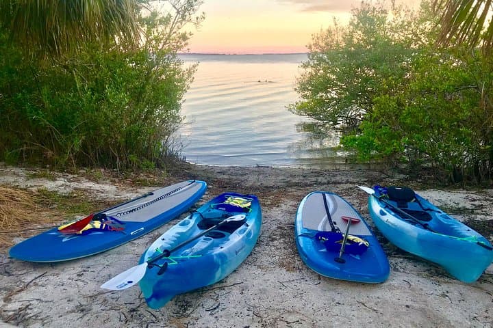 Banana River Paddle: Eco Dolphin & Manatee SUP and Kayak Tour from Cocoa Beach photo 3