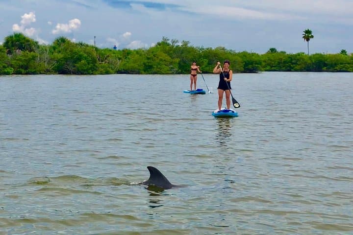 Banana River Paddle: Eco Dolphin & Manatee SUP and Kayak Tour from Cocoa Beach photo 2