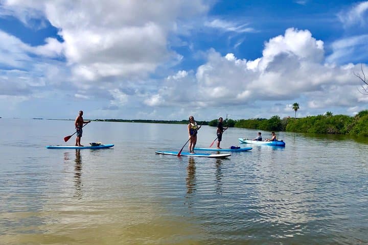 Banana River Paddle: Eco Dolphin & Manatee SUP and Kayak Tour from Cocoa Beach photo 4
