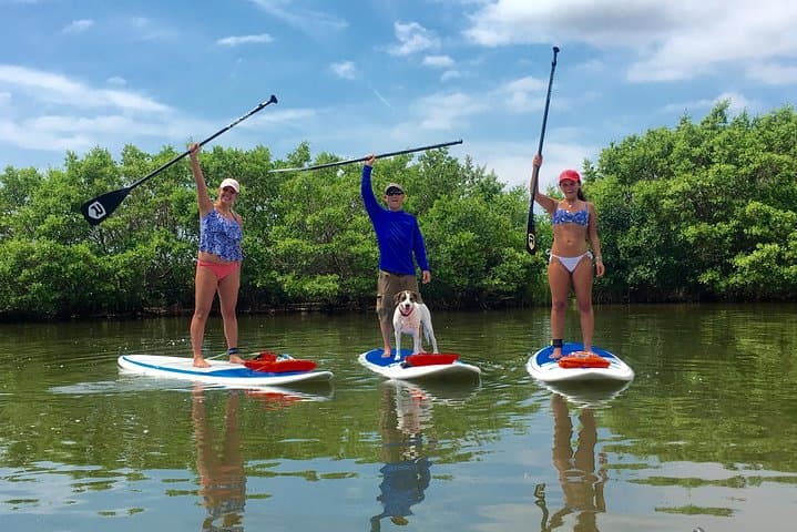 Banana River Paddle: Eco Dolphin & Manatee SUP and Kayak Tour from Cocoa Beach photo 6