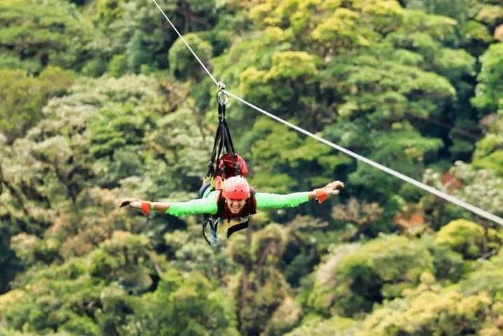 Full Monteverde Cloud Forest Experience with Ziplining — Selvatura Park Guide photo 6