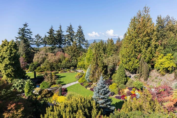 Classic Cadillac Private Tour of Vancouver — Stanley Park, Granville Island & Gastown photo 2