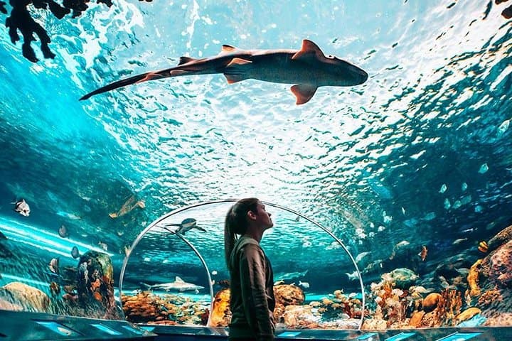 Toronto, Niagara Falls & Thousand Islands 2-Day VIP Tour from Montreal photo 3