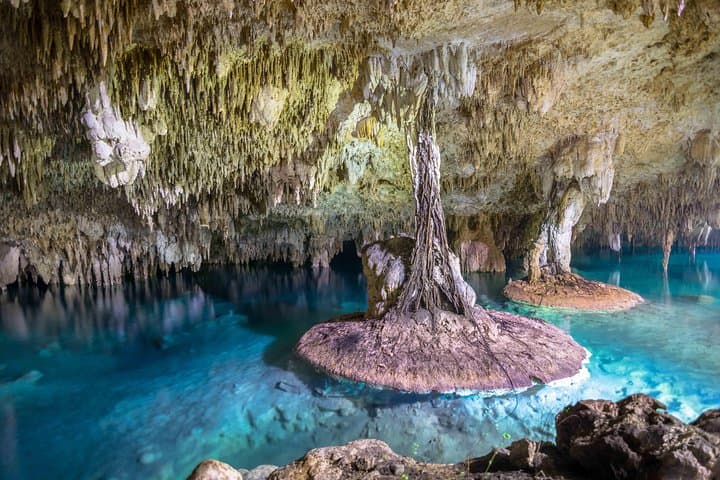 Half-Day Tulum & Sak Aktun Cenote Tour from Cancun: Private Ruins Visit and Cave Swim photo 2
