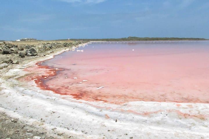 VIP Day Trip: Totumo Mud Volcano, Pink Salt Flats & Estelar Manzanillo photo 2