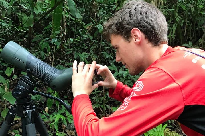 Carara National Park Birdwatching: Private Guided Tour from Quepos photo 2