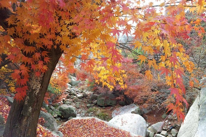 Half-Day Private Hike on Bukhansan with Korean Lunch & Traditional Sauna photo 5