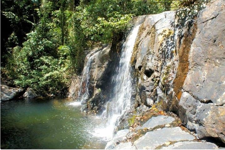 Estrella Falls Day Trip from Puerto Princesa: Twin Waterfalls, Forest Pools & Native Flora photo 4