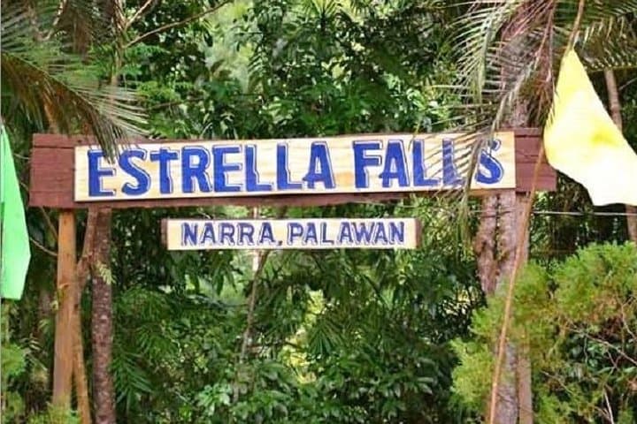 Estrella Falls Day Trip from Puerto Princesa: Twin Waterfalls, Forest Pools & Native Flora photo 2
