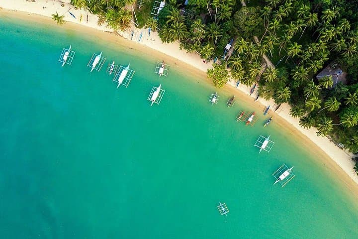 Port Barton Island Hopping: Snorkel Aquarium Reefs & Paradise Islands in San Vicente photo 3