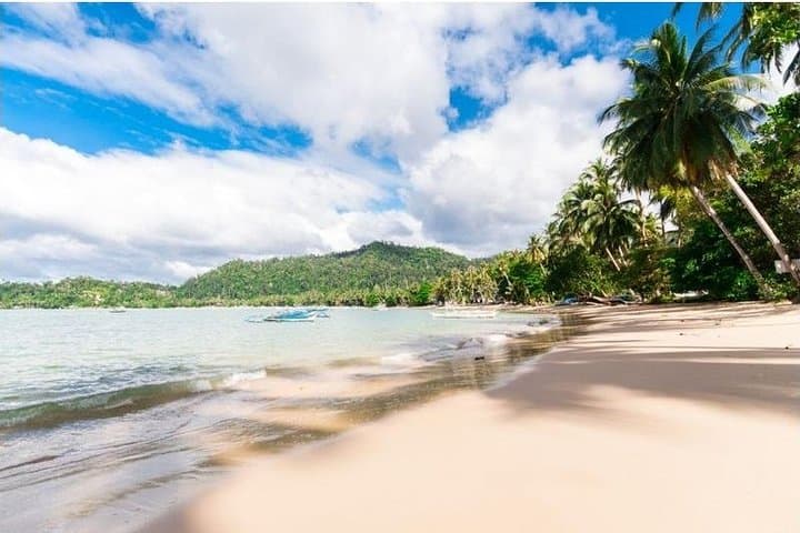 Port Barton Island Hopping: Snorkel Aquarium Reefs & Paradise Islands in San Vicente photo 2