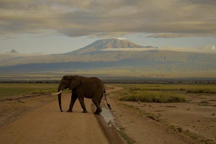 3-Day Maasai Mara Guided Safari: Big Five & Great Migration Highlights photo 3