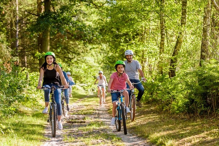 Explore Chantilly by Electric Bike: Castle Views, Forest Trails & Local Stories photo 4