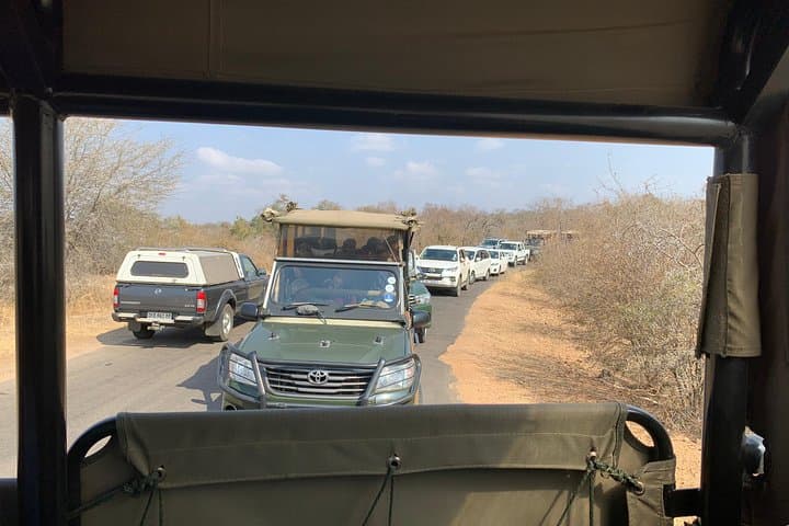 Full-Day Kruger Big 5 Safari from Hazyview: What to Expect photo 5