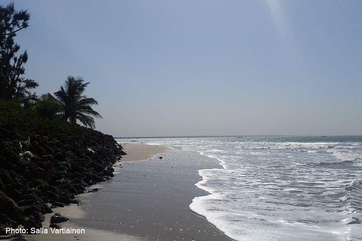 South Gambia Tour: Tanji Fishing Village and Paradise Beach Day Trip