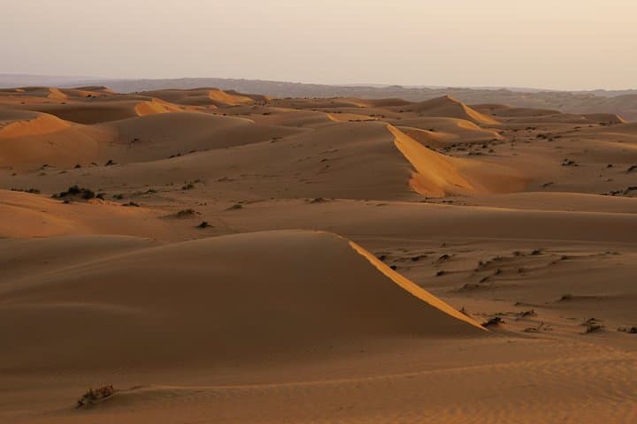 Sharqiyah Desert Safari: Explore Oman's Red Dunes, Wadis & Bedouin Trails