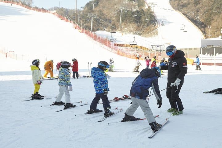 Nami Island to Elysian: A Private Seoul Day Trip with Beginner Ski Lesson photo 5
