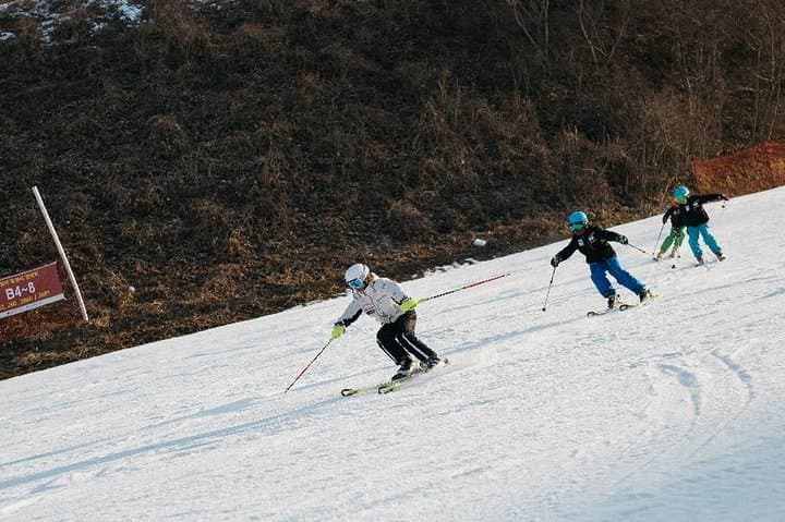 Nami Island to Elysian: A Private Seoul Day Trip with Beginner Ski Lesson photo 3