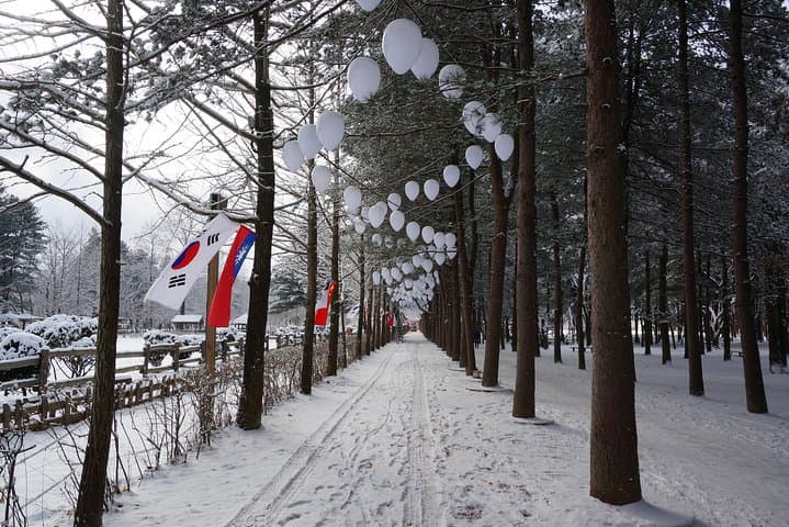 Nami Island to Elysian: A Private Seoul Day Trip with Beginner Ski Lesson photo 4