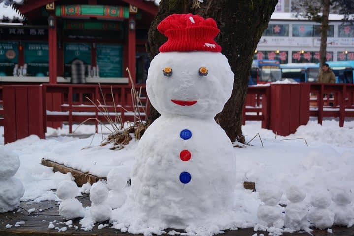 Nami Island to Elysian: A Private Seoul Day Trip with Beginner Ski Lesson photo 2