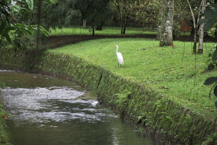 Rio in Six Hours: Christ the Redeemer, Botanical Garden & Waterfall Shower photo 2