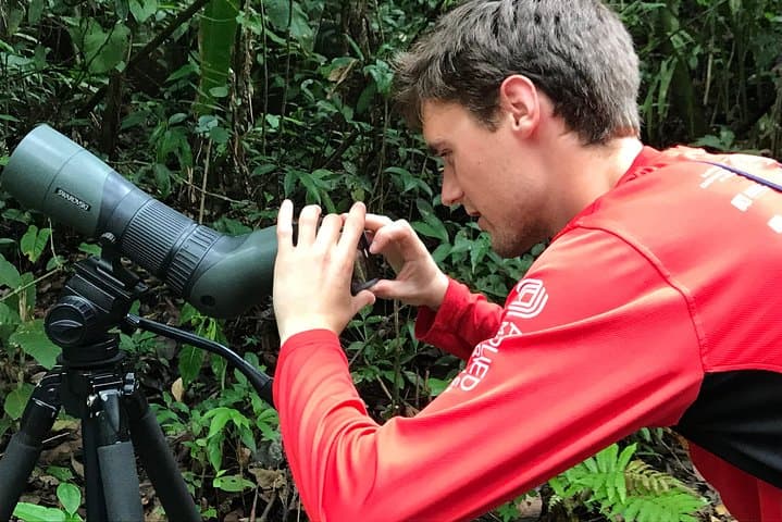 Manuel Antonio National Park Guided Wildlife Tour — Sloths, Monkeys & Beach photo 6