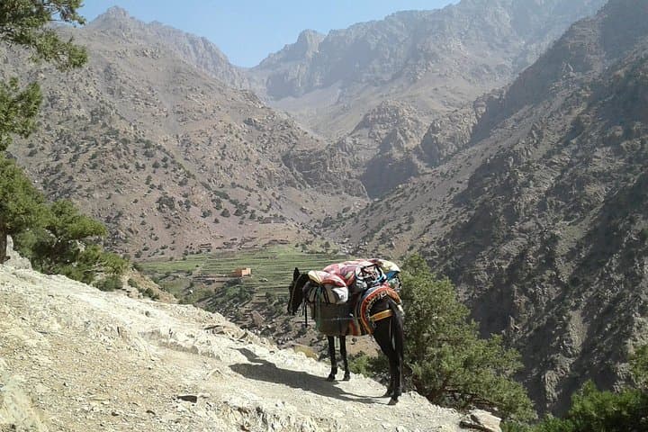 3-Day Atlas Mountains Trek from Marrakech — Imlil & Azzaden Valleys photo 3