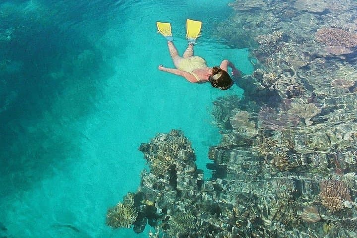 7-Day Luxury Expedition Cruise on the Great Barrier Reef: Hamilton Island to Whitehaven photo 2