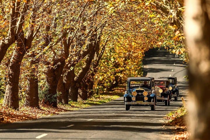 Cruising the Blue Mountains in a 1929 Cadillac: Katoomba Scenic Tour photo 3