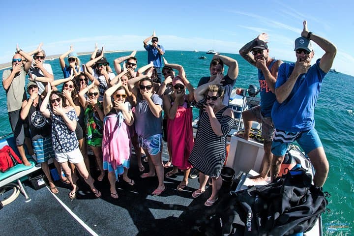 Swim-with-Whale-Sharks-and-Humpbacks-at-Ningaloo-Reef-A-Complete-Day-Adventure