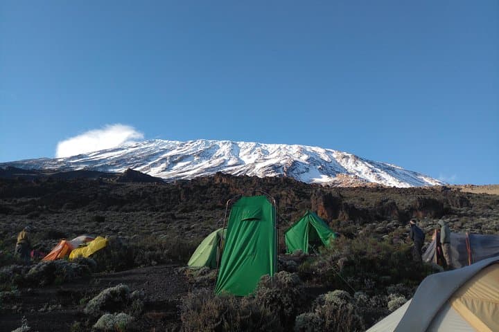 10-Day Northern Circuit Kilimanjaro Route — Best Acclimatization for Uhuru Peak photo 4