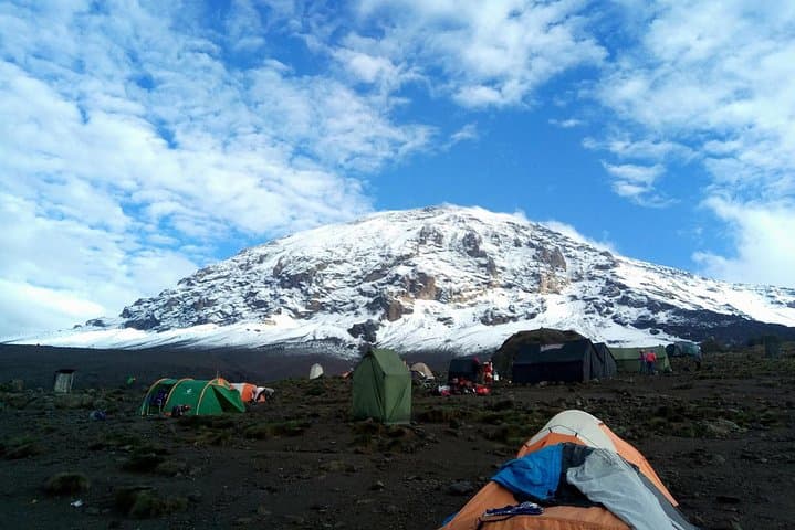 Lemosho Route Kilimanjaro: 8-Day Guided Trek to Uhuru Peak photo 3