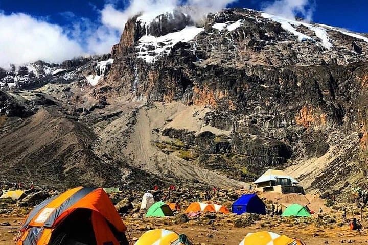 Lemosho Route Kilimanjaro: 8-Day Guided Trek to Uhuru Peak photo 4