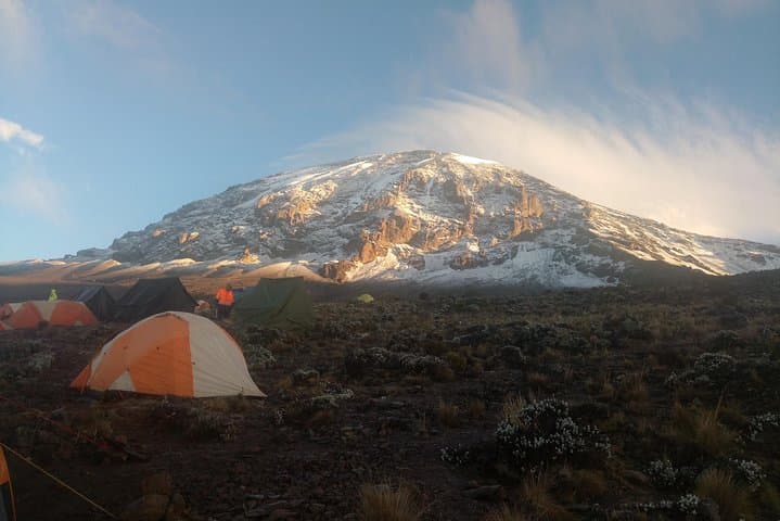 Lemosho Route Kilimanjaro: 8-Day Guided Trek to Uhuru Peak photo 6