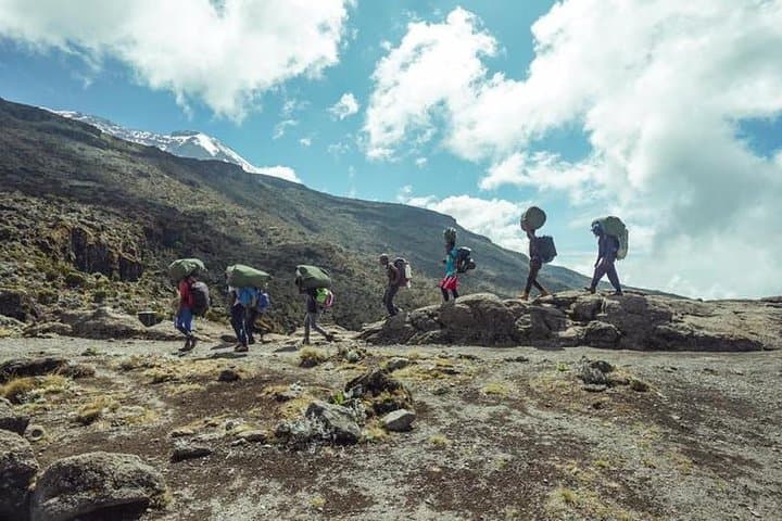 Umbwe Route: 6-Day Kilimanjaro Climb — Steep, Remote, Rewarding photo 5