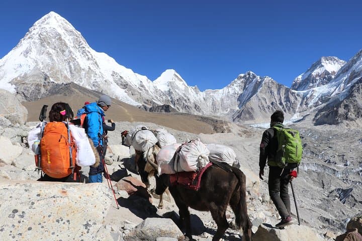 Everest Base Camp Trek: 12-Day Himalayan Trek to EBC and Kala Patthar