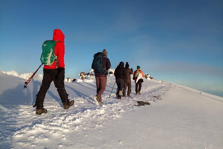 6-Day Rongai Route Kilimanjaro Summit Guide — Moshi to Uhuru Peak photo 4