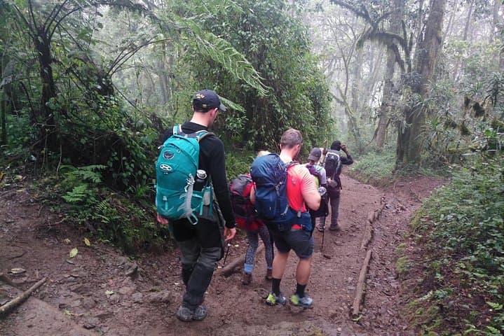 6-Day Rongai Route Kilimanjaro Summit Guide — Moshi to Uhuru Peak photo 6
