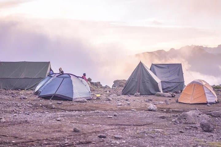 Umbwe Route: 6-Day Kilimanjaro Climb — Steep, Remote, Rewarding photo 4